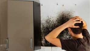 Какво е опасна черна форма в къщата